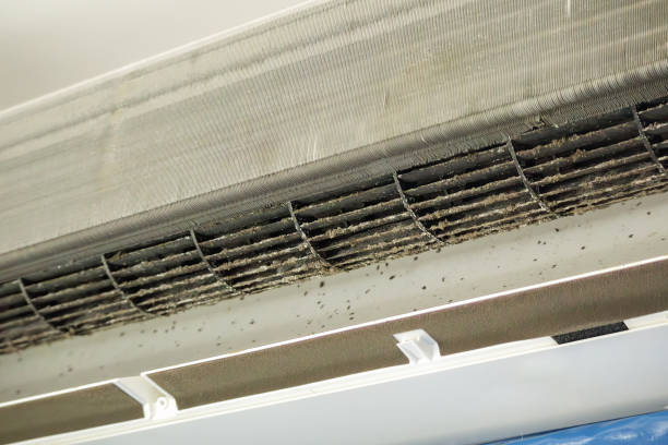 Best Air Duct Cleaning Near Me  in Tsaile, AZ