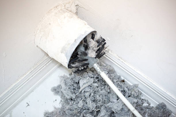 Best Air Vent Cleaning Services  in Tsaile, AZ